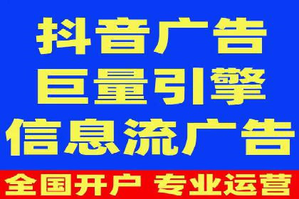 竞价排名案例：优化广告预算分配